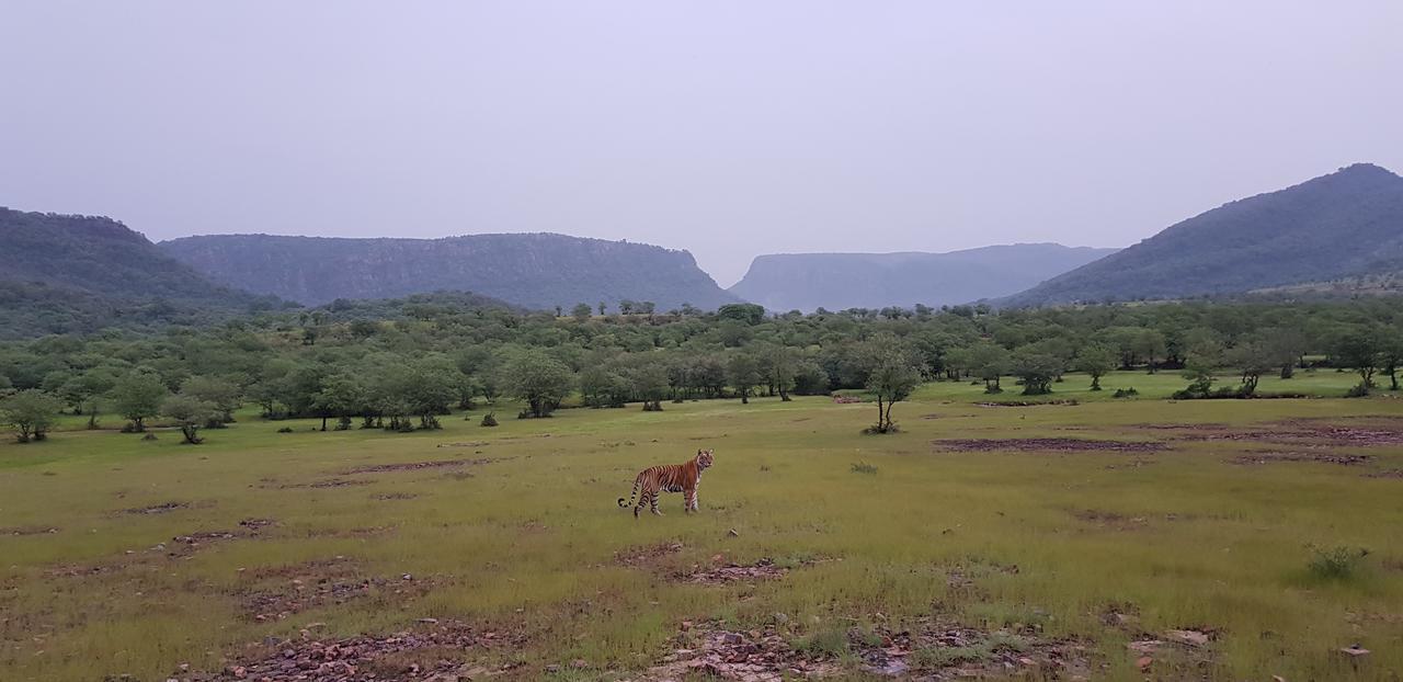 Travel Soul Bed & Breakfast Sawai Madhopur Luaran gambar